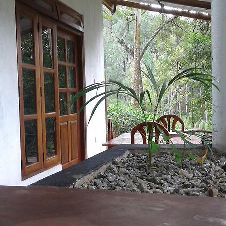 Mountain Nest Hotel Ella Ngoại thất bức ảnh