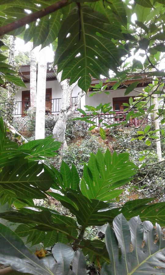 Mountain Nest Hotel Ella Ngoại thất bức ảnh