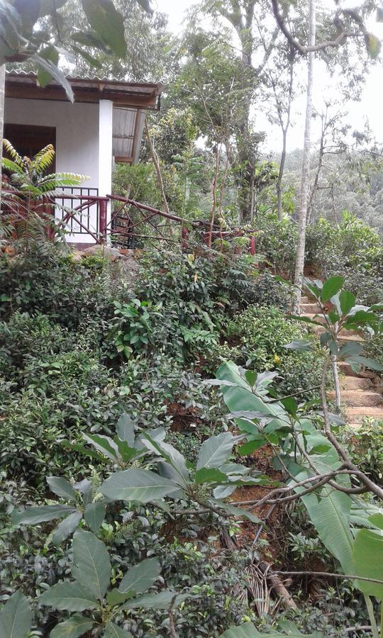 Mountain Nest Hotel Ella Ngoại thất bức ảnh
