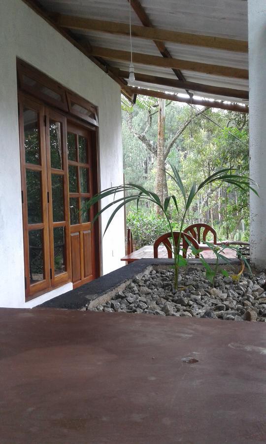 Mountain Nest Hotel Ella Ngoại thất bức ảnh