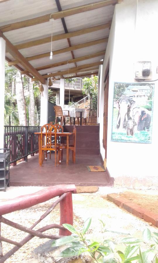 Mountain Nest Hotel Ella Ngoại thất bức ảnh