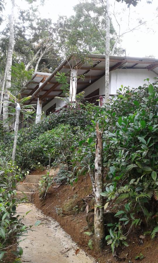 Mountain Nest Hotel Ella Ngoại thất bức ảnh