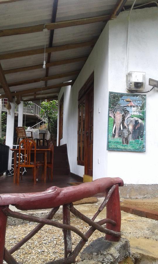 Mountain Nest Hotel Ella Ngoại thất bức ảnh