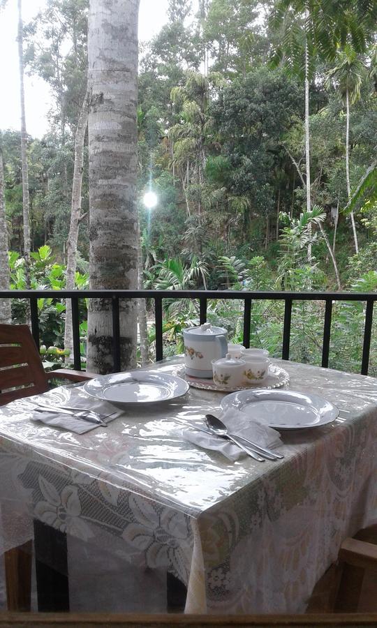 Mountain Nest Hotel Ella Ngoại thất bức ảnh