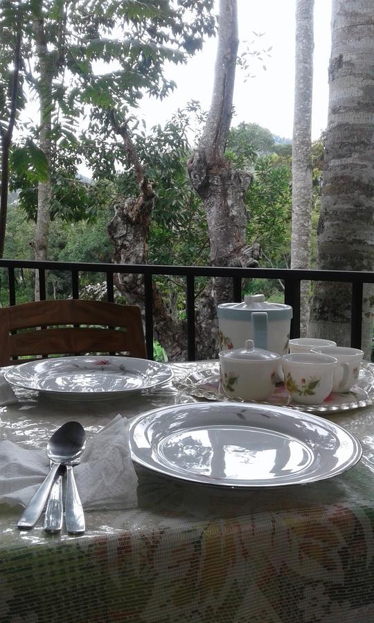 Mountain Nest Hotel Ella Ngoại thất bức ảnh