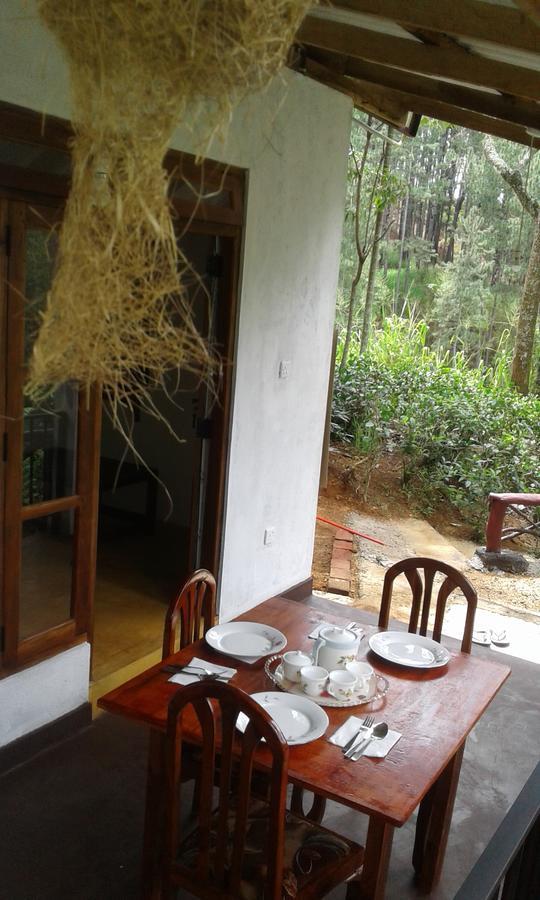 Mountain Nest Hotel Ella Ngoại thất bức ảnh